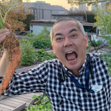 Kenji hisatsune