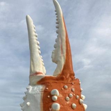 スギモト クニオ