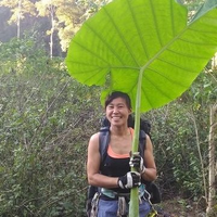 Yoshinari Kinuyoさんのプロフィール