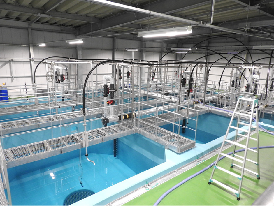 木更津陸上養殖プラントが完成！ | 株式会社FRDジャパン