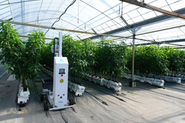 「AGRIST Ai」を自社工場「AGRIST FARM」に実装