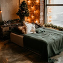 Purva Northern Lights