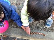 外遊びによるの発達サポートもさせていただいております♪