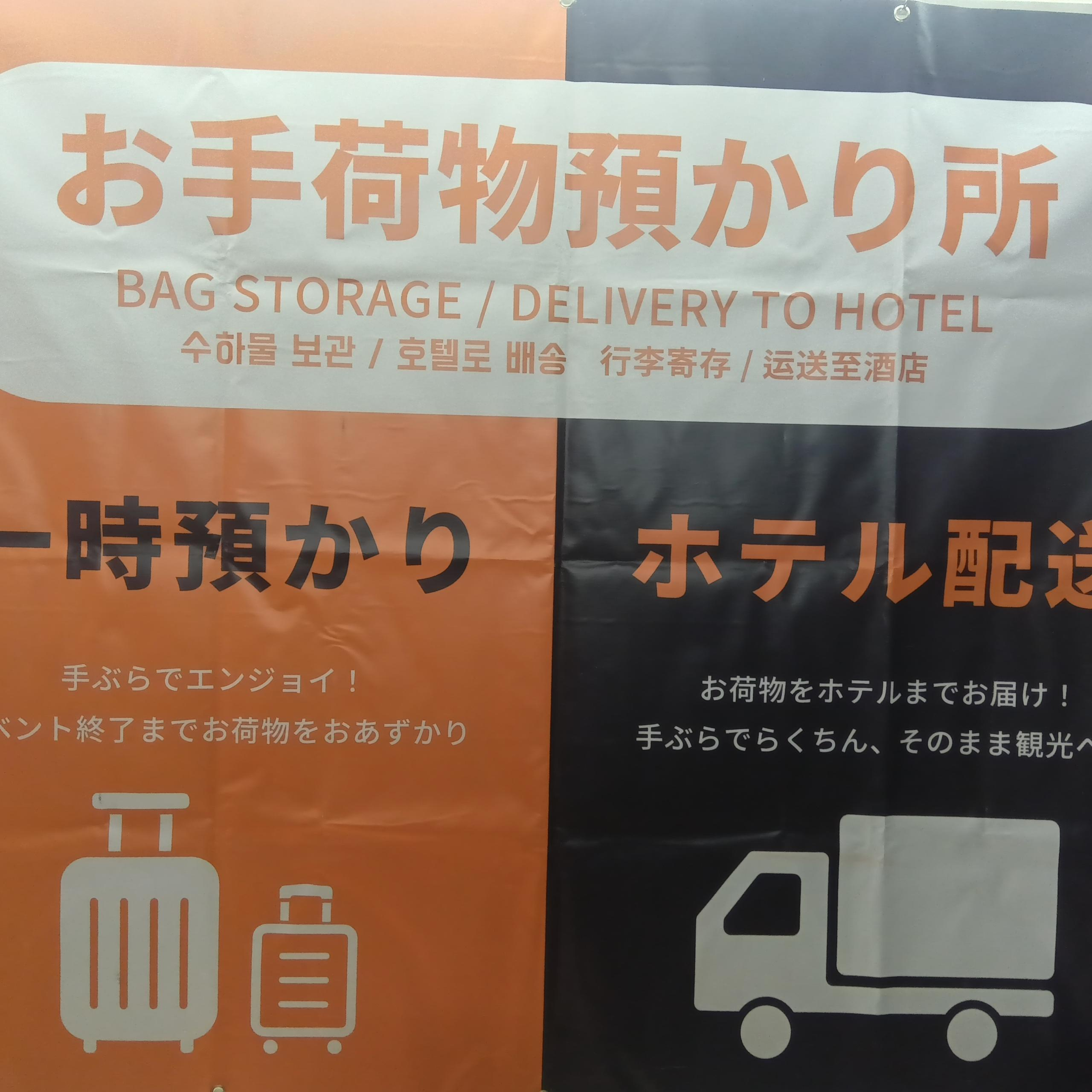 井田 風雅