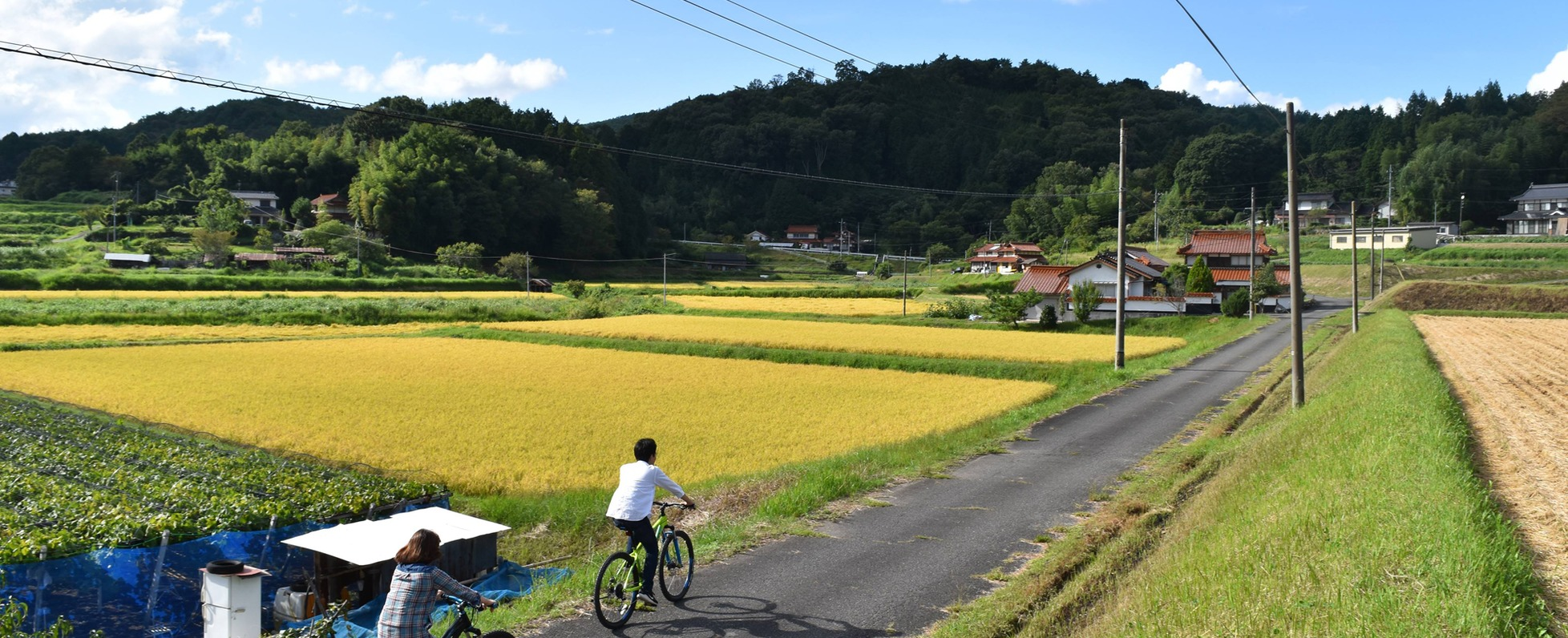 【観光を核とした「町全体のビジネス」を、一緒に作る仲間を探しています！】
