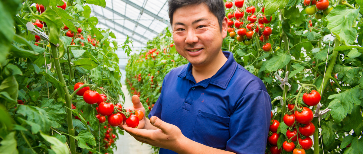 農業の未来を変えるチャンス！データと育む農業モデルのパイオニアを募集中！