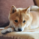 安藤 夕