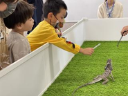 産学連携企画【キッズ恐竜体験ツアー】の様子です。なつかしのエリマキトカゲに直接触れることで、恐竜との違いを学びます。