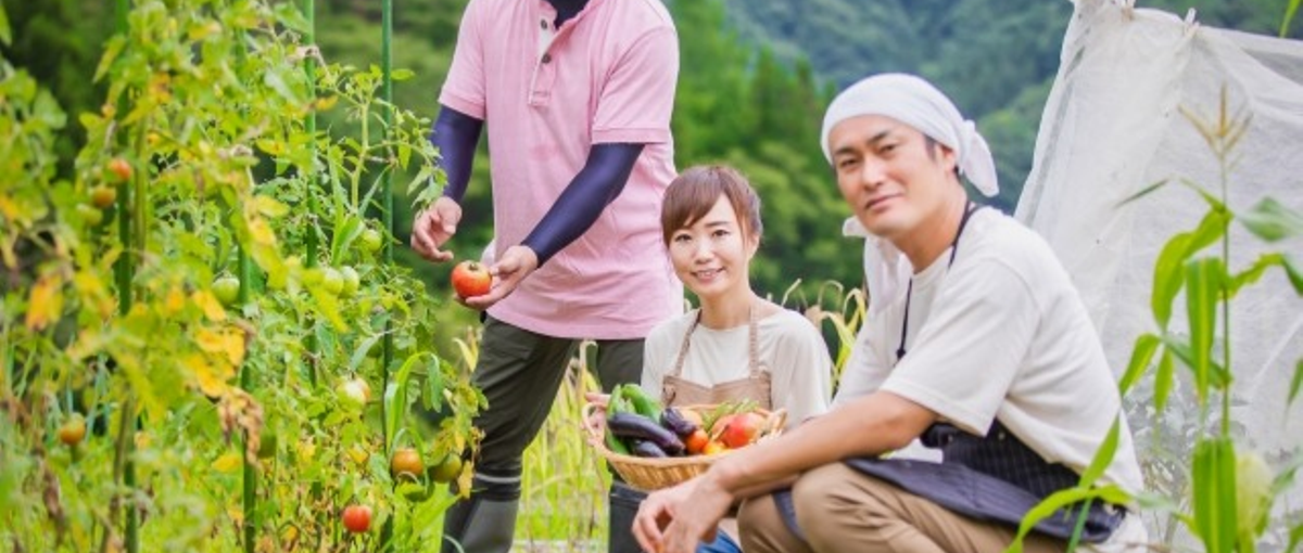 地域の営みや想いを、言葉と構造に落とし込む。Webの知見がそっと支える現場