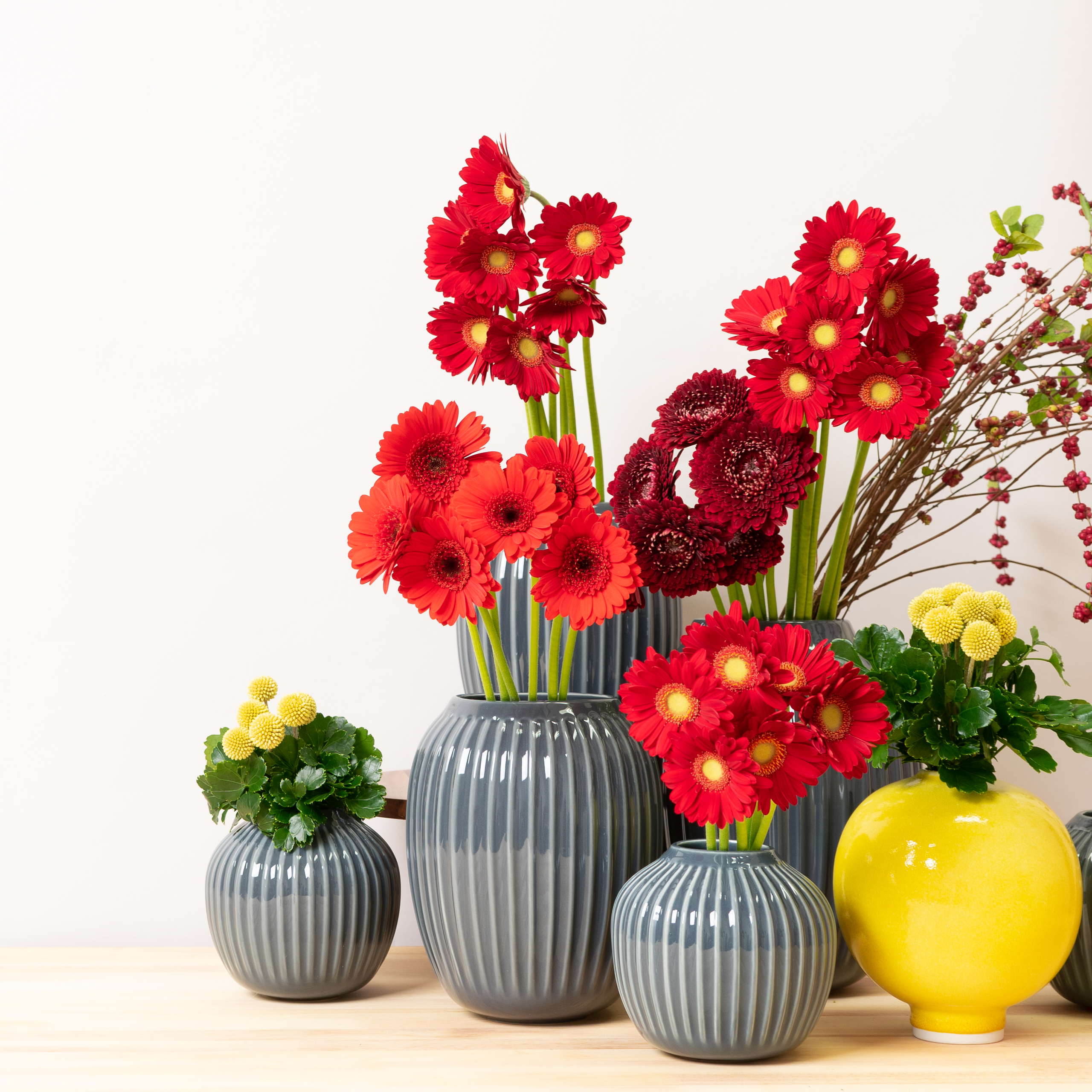 【Beer and Tech Interview ＃11】マーケティングの仕事を通して「お花や植物を愛でる楽しさをより伝えられるコミュニケーションを作りたい！」