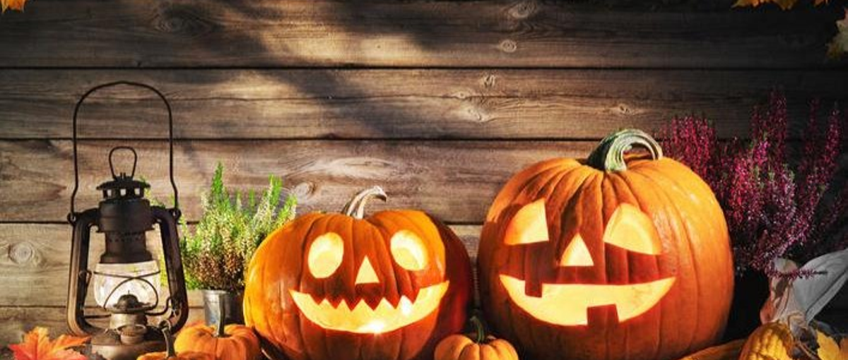 ハロインにバズったアイドル知ってる？そゆわけでBUZZ広告作る広告運用求！