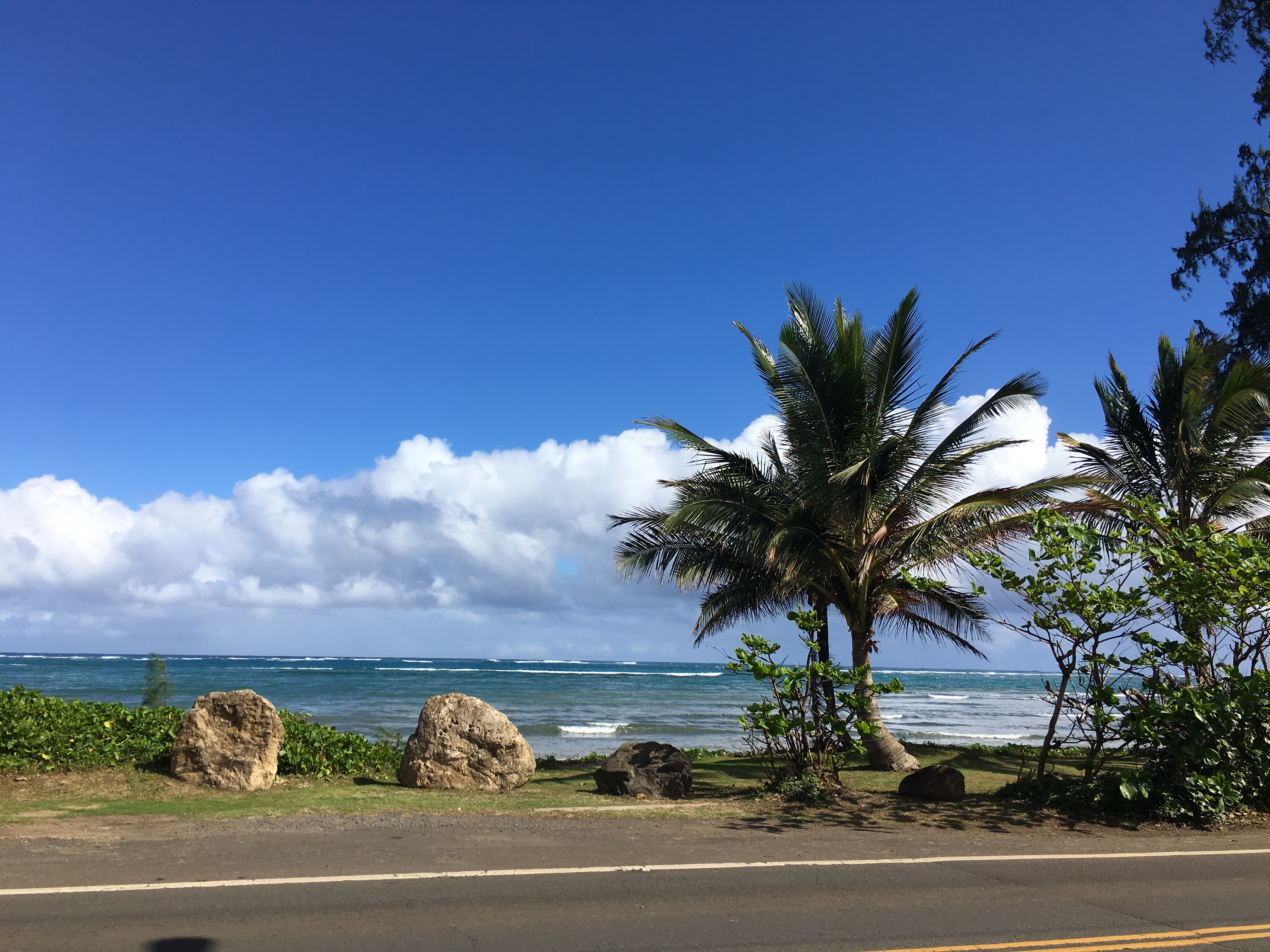 ひさびさのハワイです！