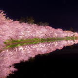 Kazuki Iwaya