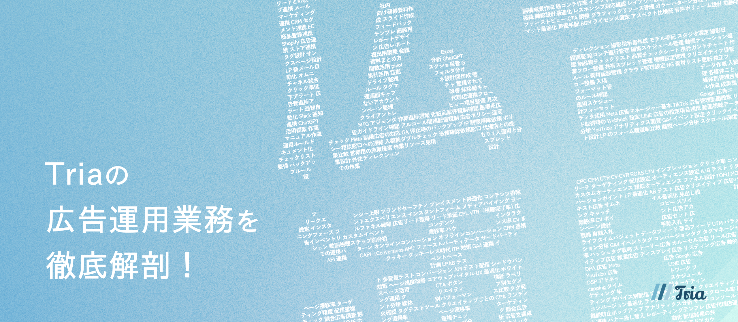 【業務内容紹介】Triaの広告運用、そのすべてを公開！業務内容や1日のスケジュール、成長環境まで徹底解剖