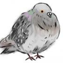 斉藤 まな