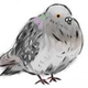 斉藤 まな
