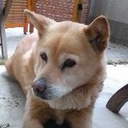 Nozomi Egaku Wada