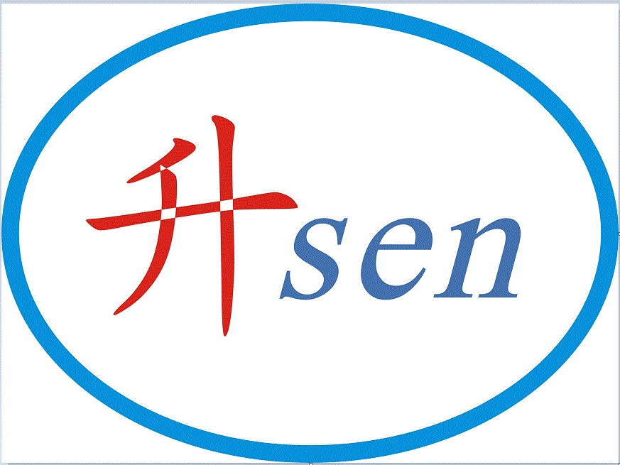 HSEN GLOBAL PTE LTD