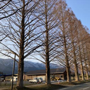 Taichi Matsumura