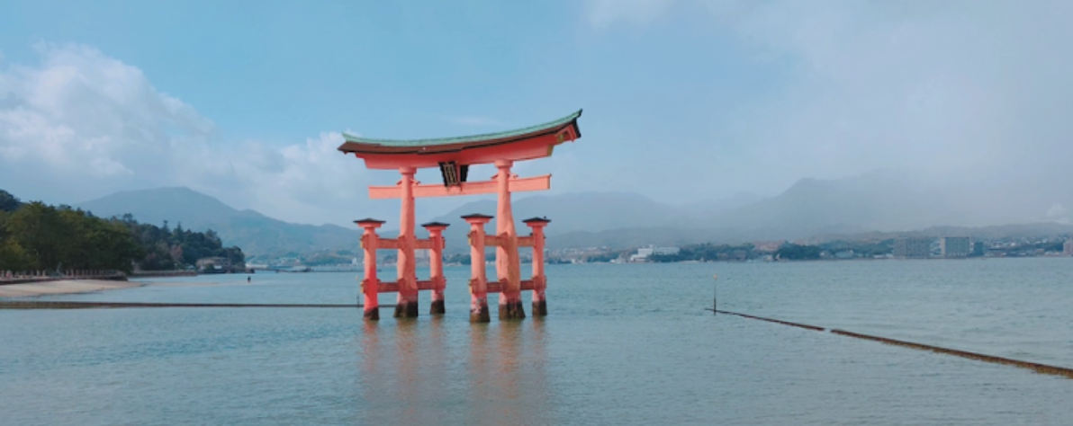 【私がテイラーワークスにjoinした理由 今福編】TailorWorksを通して新たな共創を生むためのプロダクト価値を創出したい