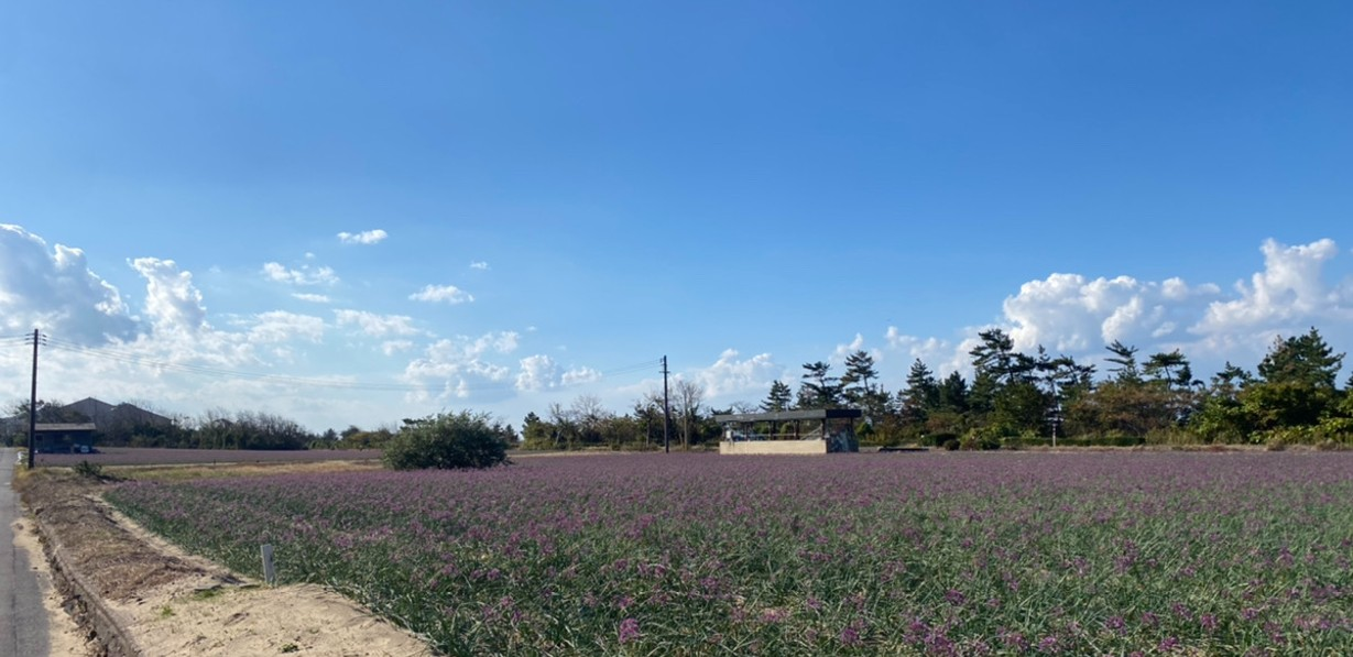 【営業企画】鳥取に貢献し、鳥取に戻れる土壌があるからこそ挑戦すべき｜Axisヒトモノガタリvol.45