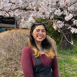 イカイ メリーグレグジャングレイス