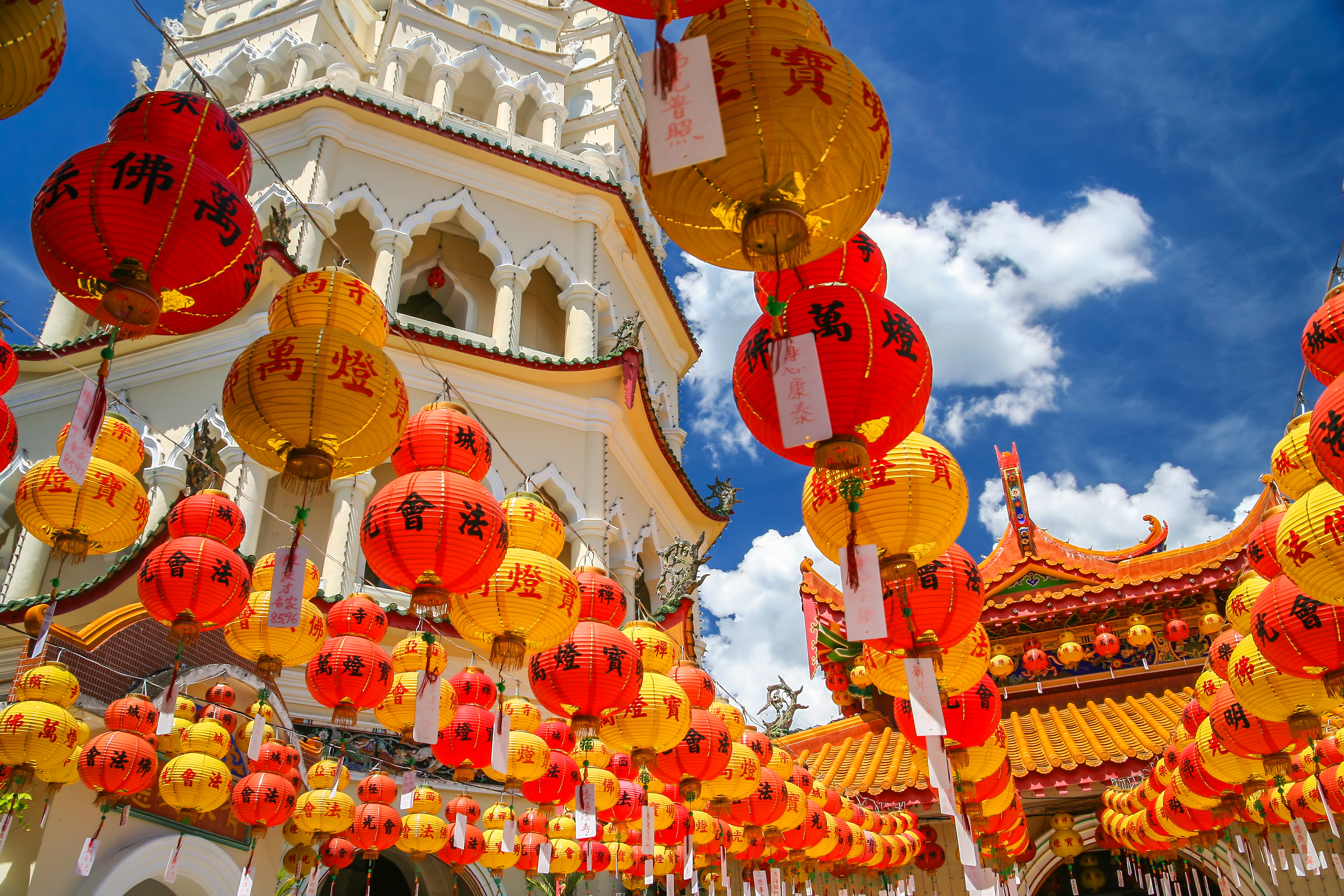 新卒入社２年目の社員にインタビューしました！