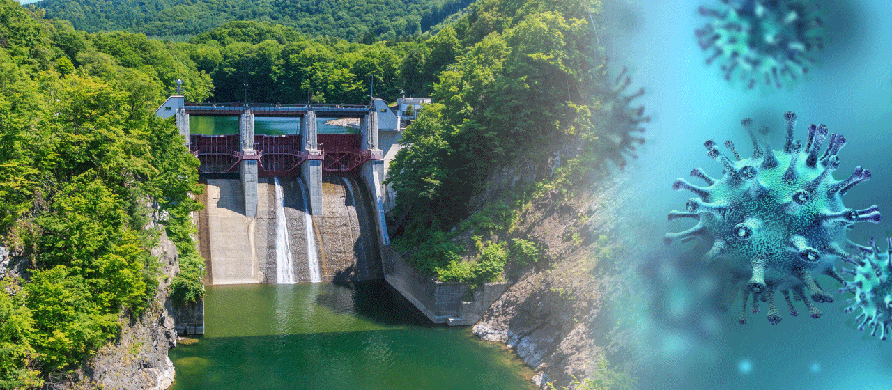 ダムからウイルスまで!? ～フジサワの仕事紹介～