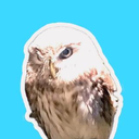 GiptCS担当