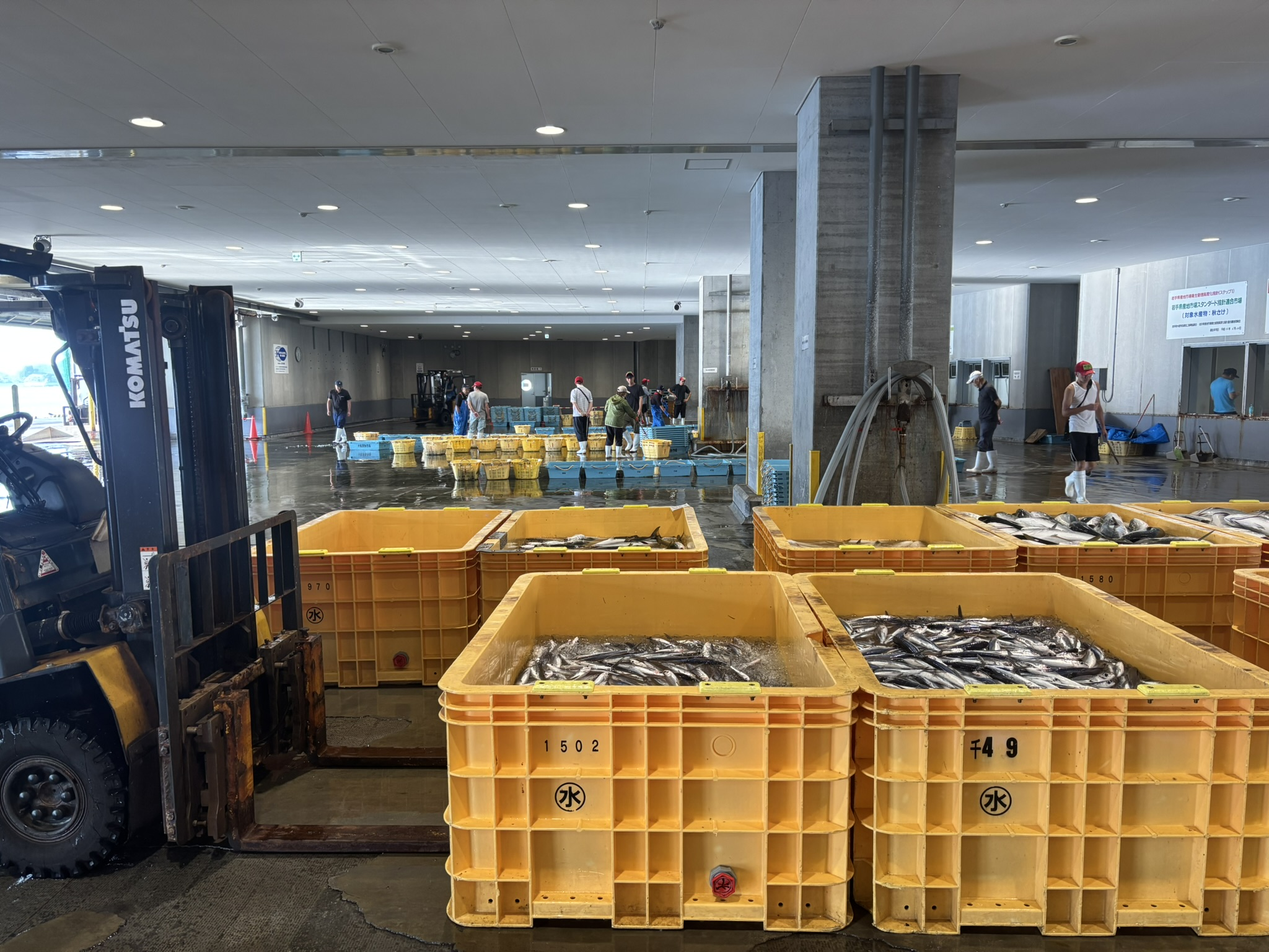 【市場訪問】岩手県・大船渡市魚市場に行ってきました！