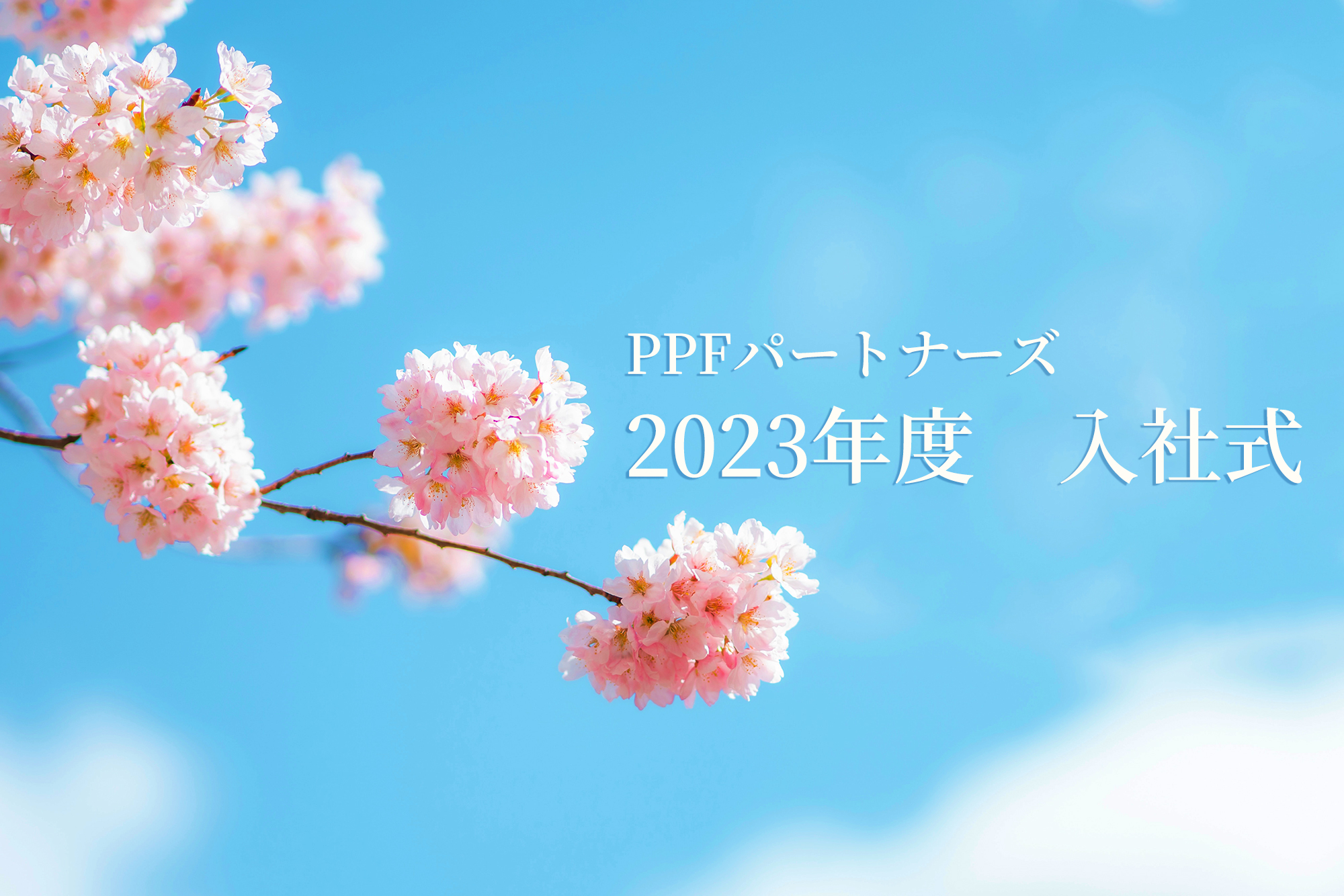 歓迎🌸2023年度の入社式を行いました！
