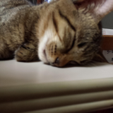 甲斐田 いつ子