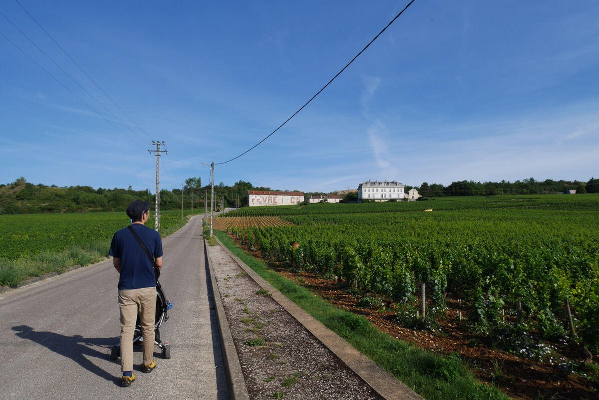 【スタッフインタビューvol.5】ドイツで活躍中コーディネーター