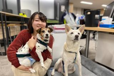 福祉と動物を支えるバックオフィスでキャリアを築こう