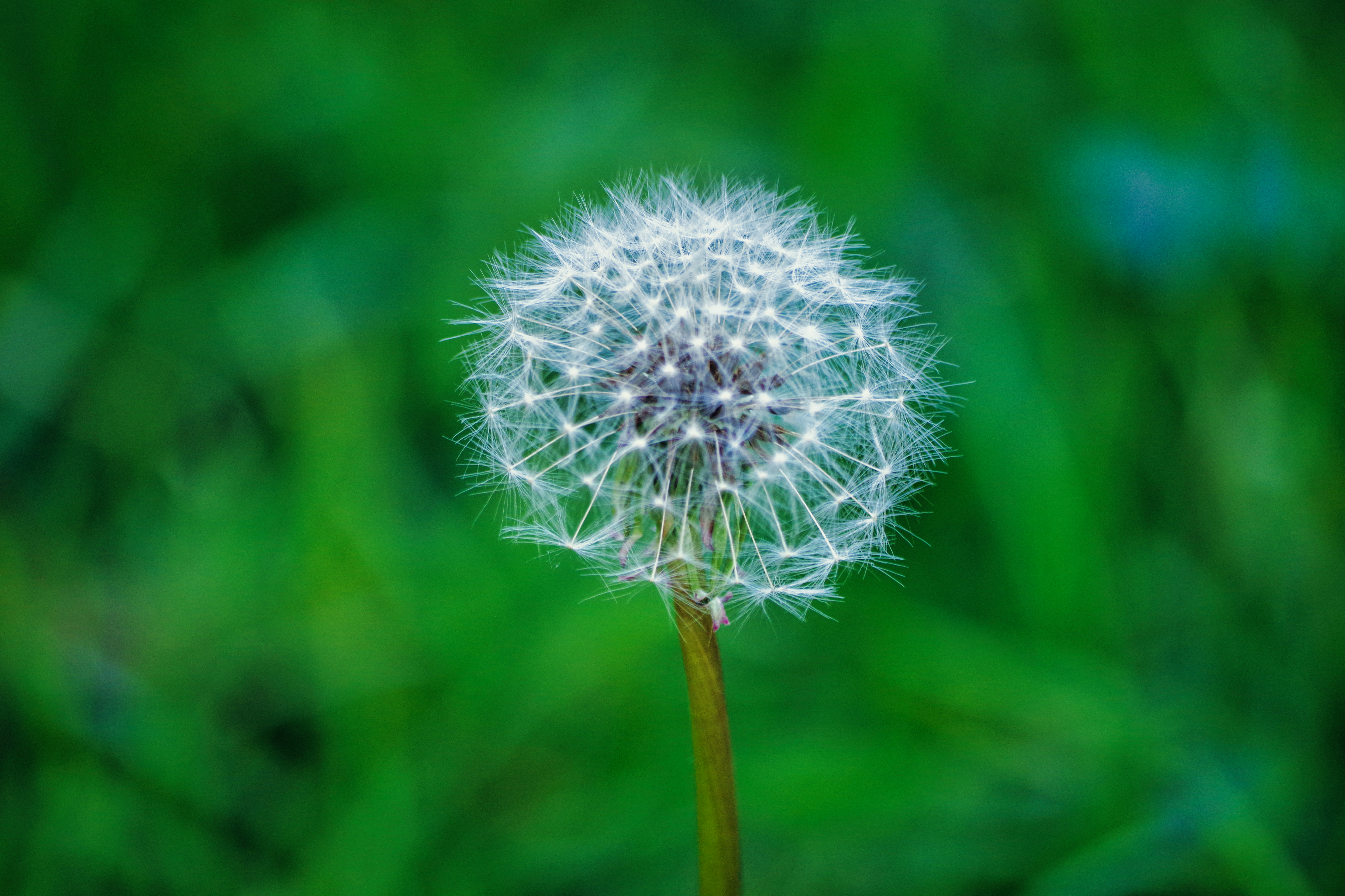 “あなた”の人生に、プロデューサーがいてもいい。