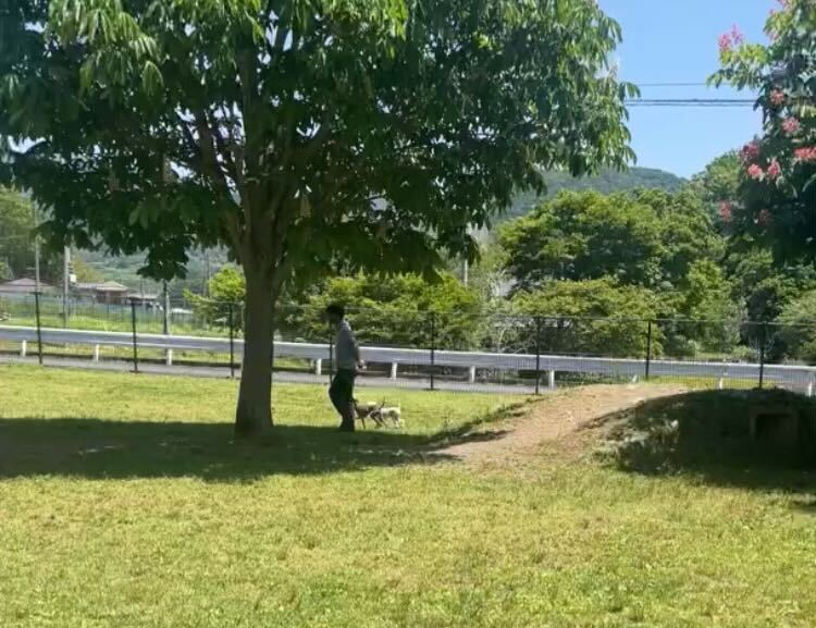 【データサイエンスト/岡村光埋】社員インタビュー～活動的なベンチャー戦士～