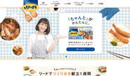 ライオン株式会社「リード」ブランドサイト構築
