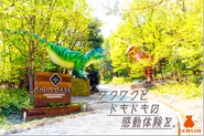 まるでテーマパーク？グランピングで地方を活性化