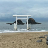 kotaro