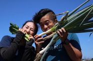 「小松菜＆ネギ」をカジル栃木市の農家さん