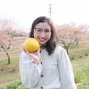 何 映楠