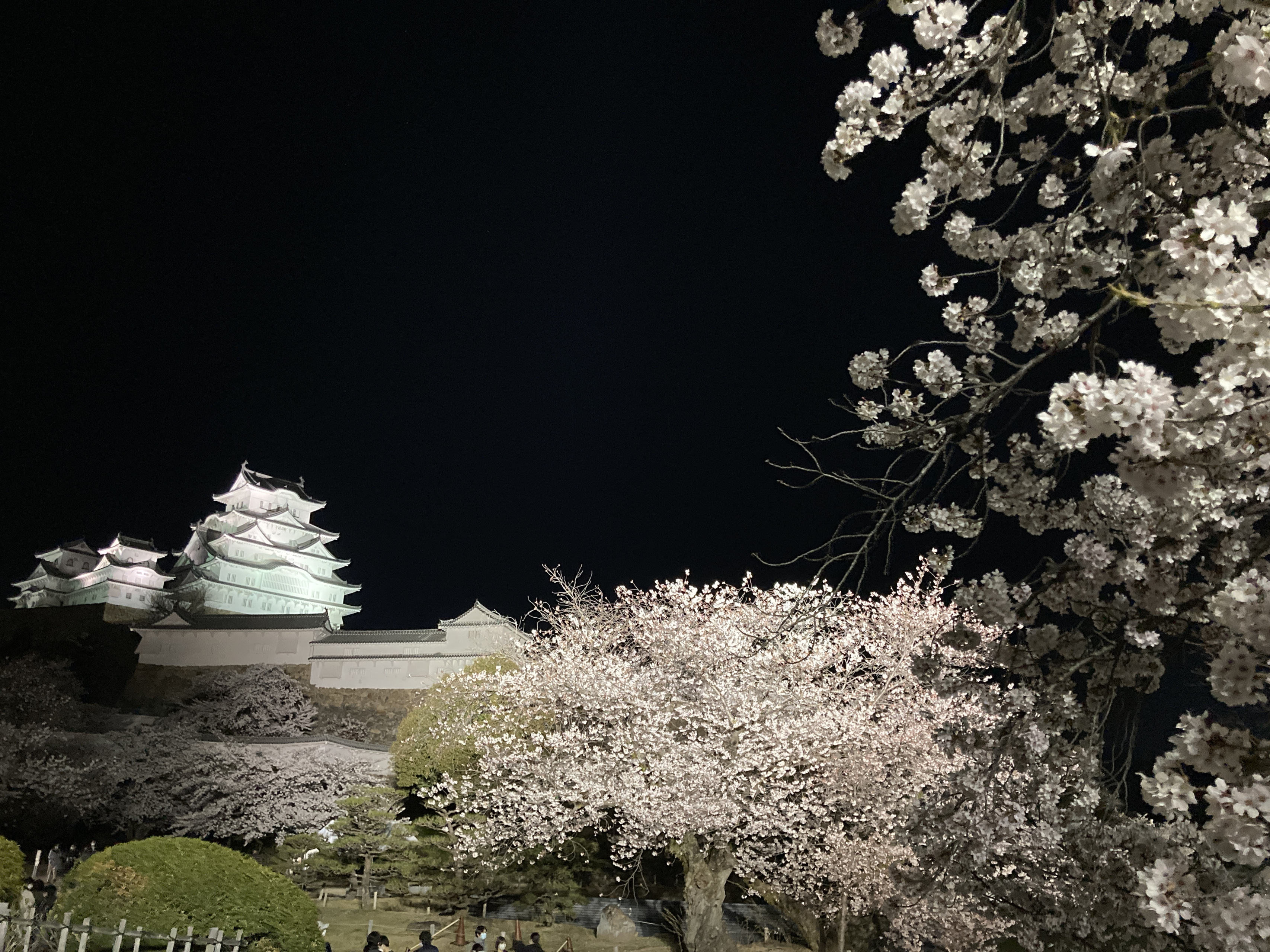 新卒2年目からスタートアップへの挑戦