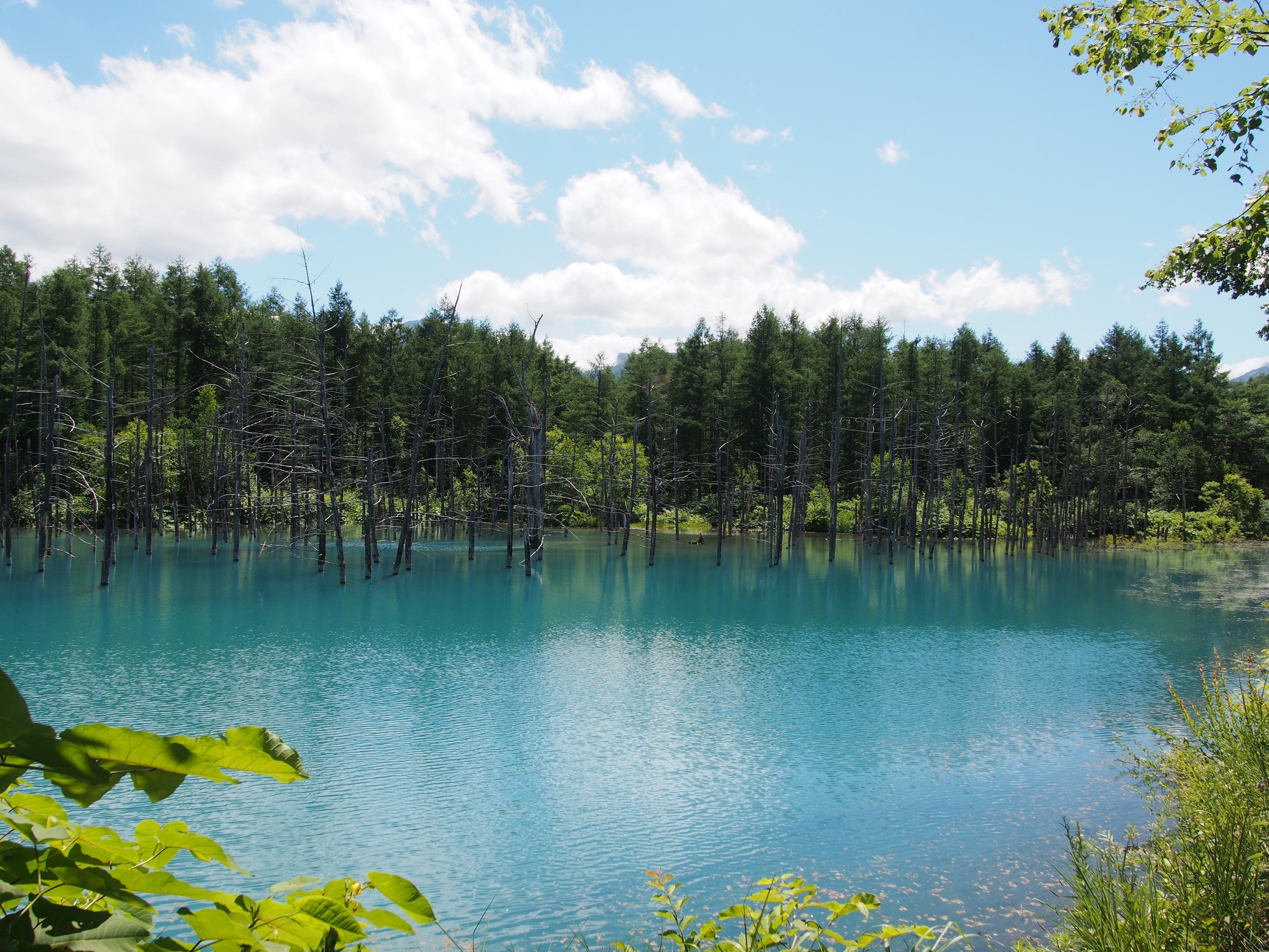 ストーリーの使い方がわからない。。。