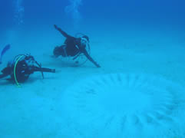 「島キャン」準備中に島で出会って採用された。ダイビングインストラクター。