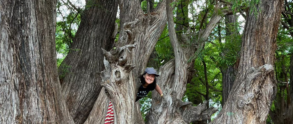 地方から首都圏企業で働こう！CSメンバー大募集中！