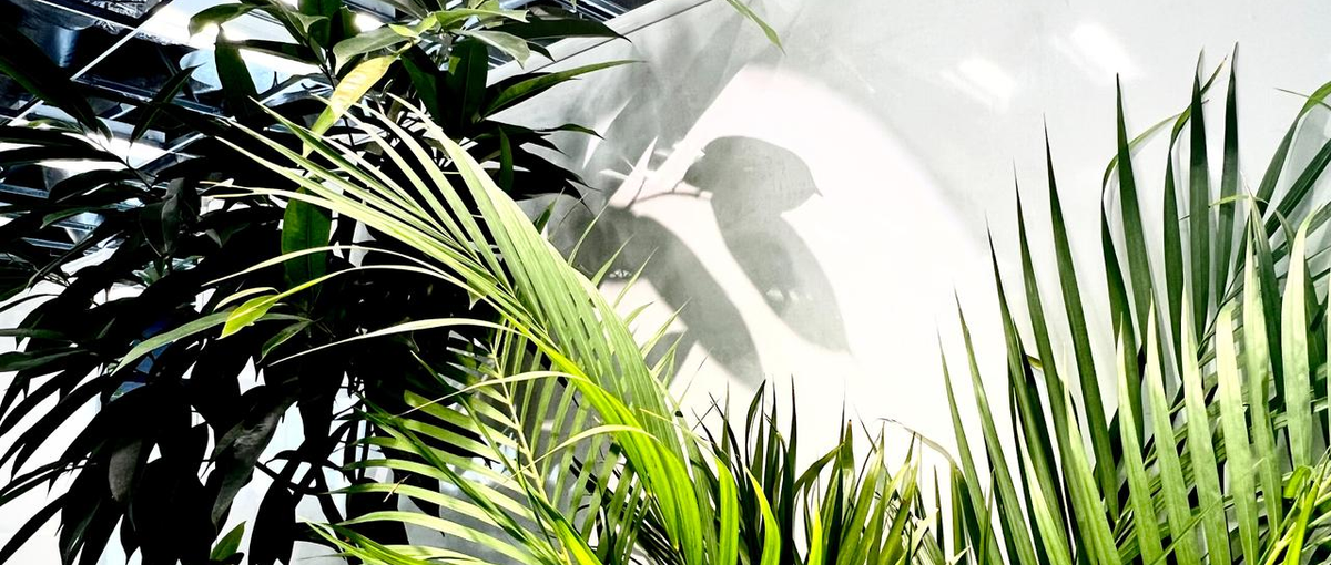 フリーランス大歓迎！インフルエンサーマーケ事業のUI/UXデザイナー募集