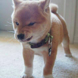 金井 未来