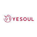 YESOUL net