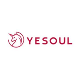 YESOUL net
