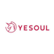 YESOUL net